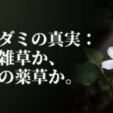 ドクダミ　花言葉　怖い