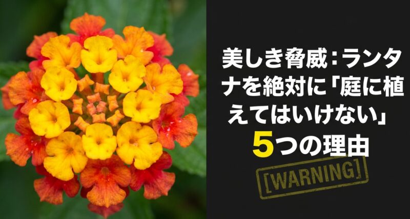ランタナを絶対に「庭に植えてはいけない」5つの理由と書かれたタイトル画像