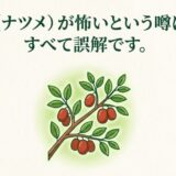 棗（ナツメ）の枝と赤い実のイラスト。ナツメが怖いという噂は誤解であることを示すスライド