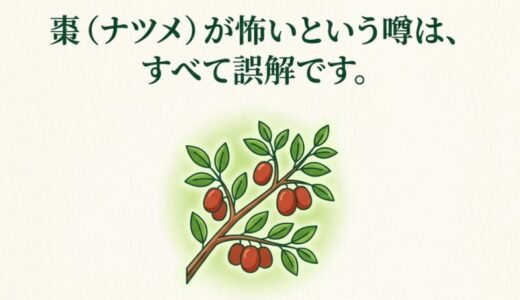 棗の花言葉が「怖い」は誤解！縁起が悪い庭木の噂と本当の意味