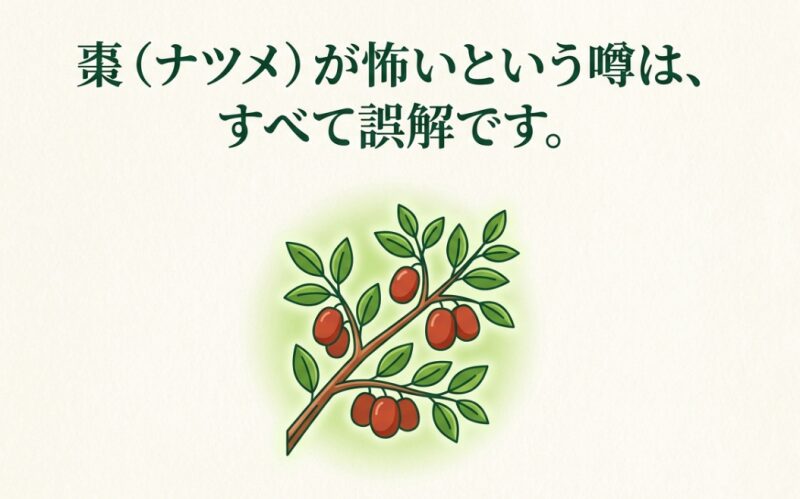 棗（ナツメ）の枝と赤い実のイラスト。ナツメが怖いという噂は誤解であることを示すスライド