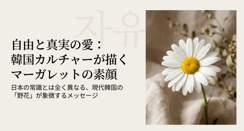 自由と真実の愛:韓国カルチャーが描くマーガレットの素顔 と、日本の常識とは異なる現代韓国の「野花」が象徴するメッセージ 。