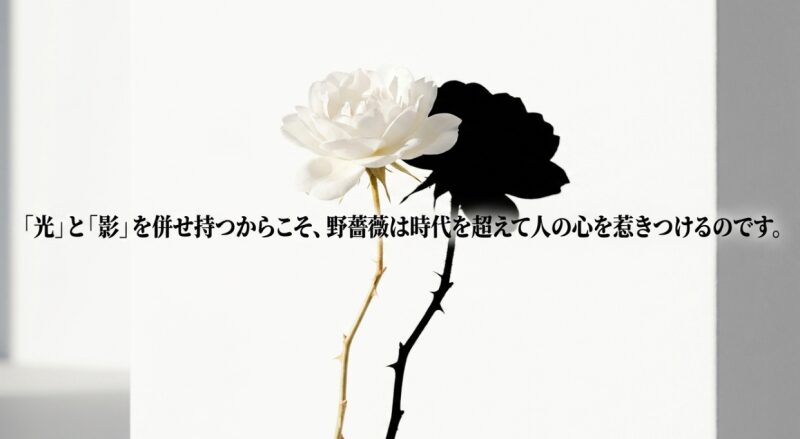 光と影の二面性を併せ持つからこそ、野薔薇は時代を超えて人の心を強く惹きつけるというまとめのメッセージ。
