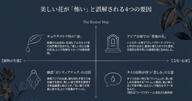 毒性、幽霊伝承、墓地の花、悲しい旧称という、ブルメリアが怖いと誤解される4つの要因をまとめた図解