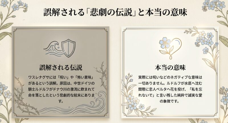 ワスレナグサの呪いや怖い意味という誤解を生んだ中世ドイツの騎士ルドルフの伝説と純粋な愛という本当の意味
