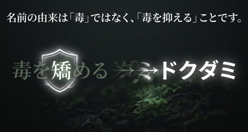 名前の由来は「毒」ではなく、「毒を抑える」ことを意味する「毒を矯める」からきているという図解