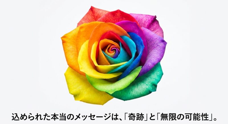 怖い花言葉は枯れたバラなどの状態変化によるもので、人工的なレインボーローズには当てはまらないという説明