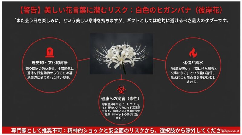 白いヒガンバナの写真と、毒性や歴史的背景、迷信による実害を示す警告文の図解