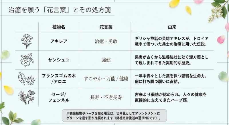 アキレア、サンシュユ、フランスゴムの木、セージなど、病気の治癒や健康祈願を意味する植物と花言葉の由来をまとめた一覧表