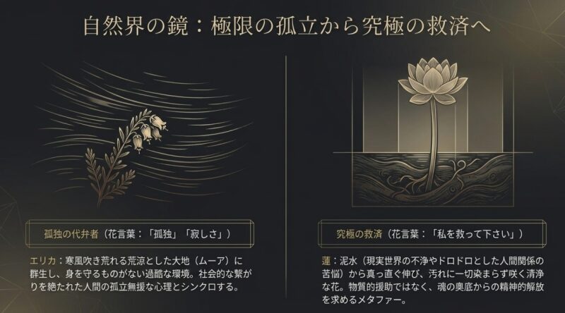 孤独の代弁者であるエリカと、究極の救済を意味する蓮の花のイラストとそれぞれの生態に基づいた心理的解説