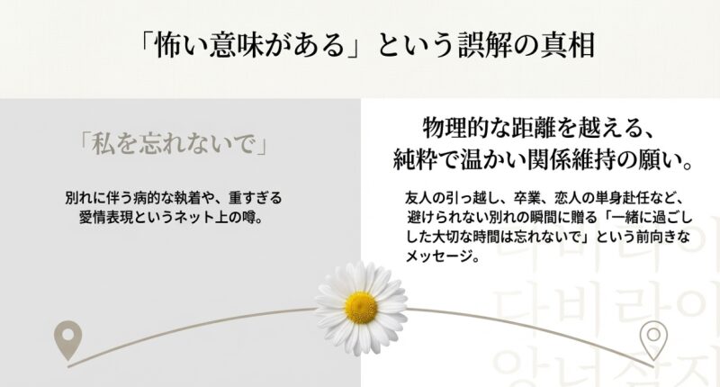 マーガレットに「怖い意味がある」という誤解の真相 。物理的な距離を越える、純粋で温かい関係維持の願いを表しています 。