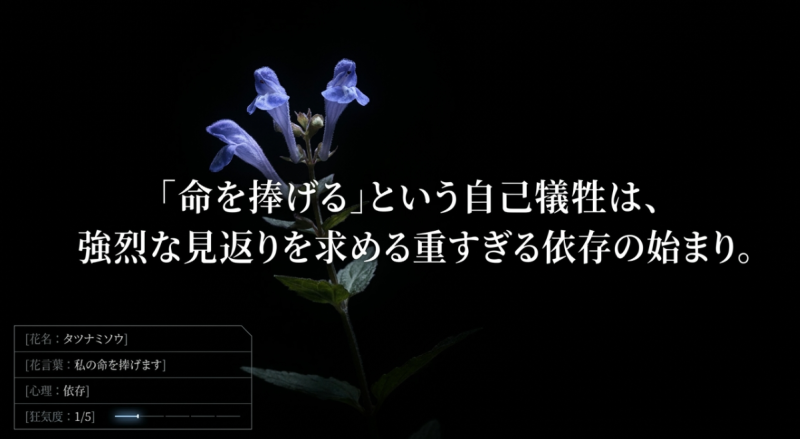 タツナミソウの花言葉「私の命を捧げます」。狂気度1/5、心理状態は依存。「命を捧げる」という自己犠牲は、強烈な見返りを求める重すぎる依存の始まり。