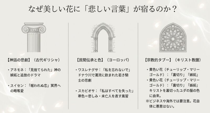 なぜ美しい花に悲しい言葉が宿るのか、神話・伝承・宗教的タブーなどの背景