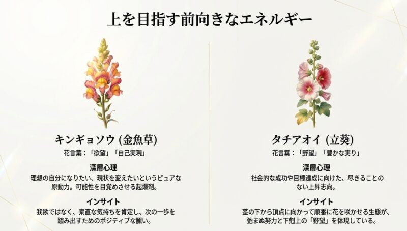 上を目指す前向きなエネルギーを表すキンギョソウ(自己実現)とタチアオイ(野望)の花言葉と深層心理