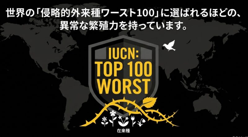 世界の「侵略的外来種ワースト100」に選ばれるほどの異常な繁殖力を持っていることを示す画像