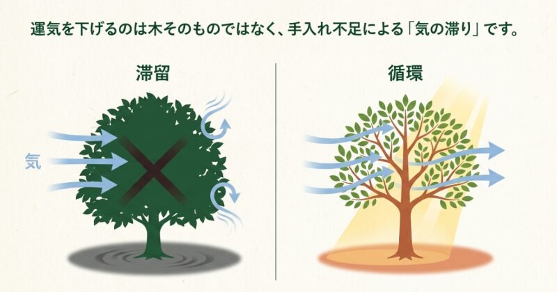 運気を下げるのは木ではなく手入れ不足による気の滞りであることを説明するスライド