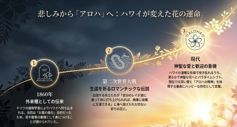 1860年の伝来から第二次世界大戦の伝説、そして現代の神聖な愛と歓迎の象徴へと変化したハワイでのプルメリアの歴史年表