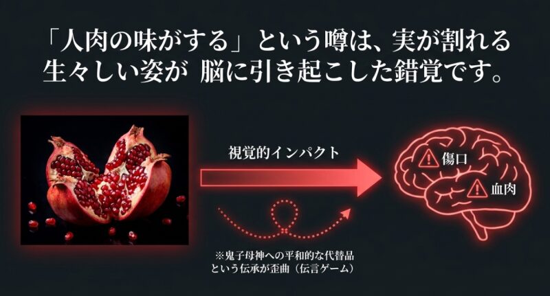 割れたザクロの実の写真と、脳に「傷口」や「血肉」という錯覚を引き起こすメカニズム、および鬼子母神への平和的な代替品という伝承が歪曲したことを解説する画像