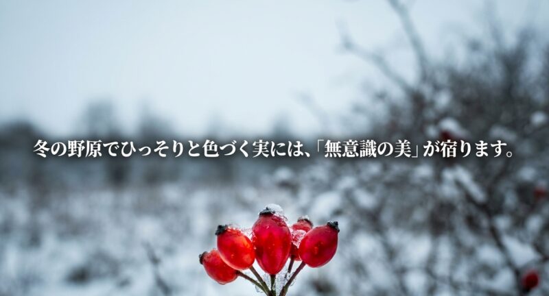 冬の野原でひっそりと赤く色づく野薔薇の実に宿る「無意識の美」という花言葉。