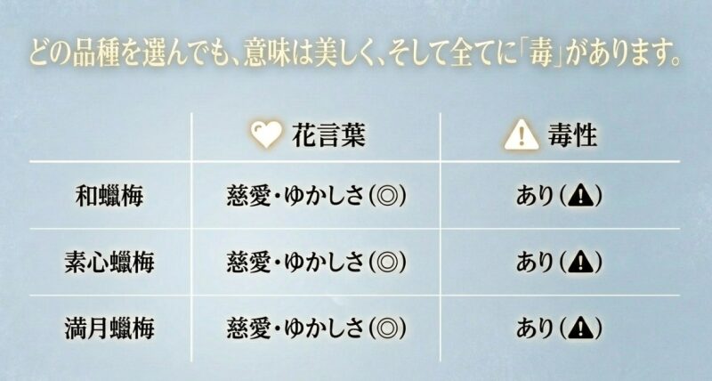 どの品種を選んでも意味は美しく全てに毒があることをまとめた、和蠟梅・素心蠟梅・満月蠟梅の比較表スライド