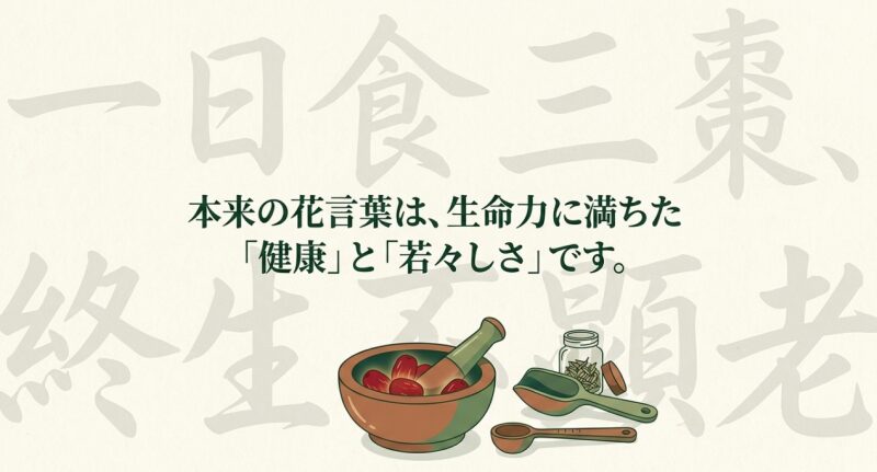 漢方薬のすり鉢とナツメの実のイラスト。「一日食三棗、終生不顕老」のことわざ