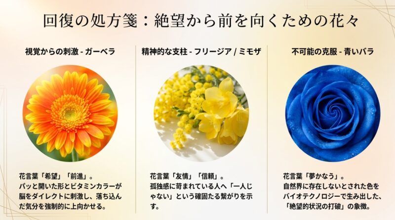 視覚を刺激するガーベラ、精神的な支柱となるフリージアやミモザ、不可能を克服する青いバラの画像と前向きな花言葉の解説