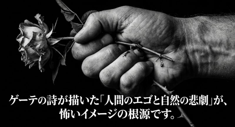 文豪ゲーテの詩『野ばら』が描いた人間のエゴと自然の悲劇が、野薔薇の怖いイメージの根源であることの解説。