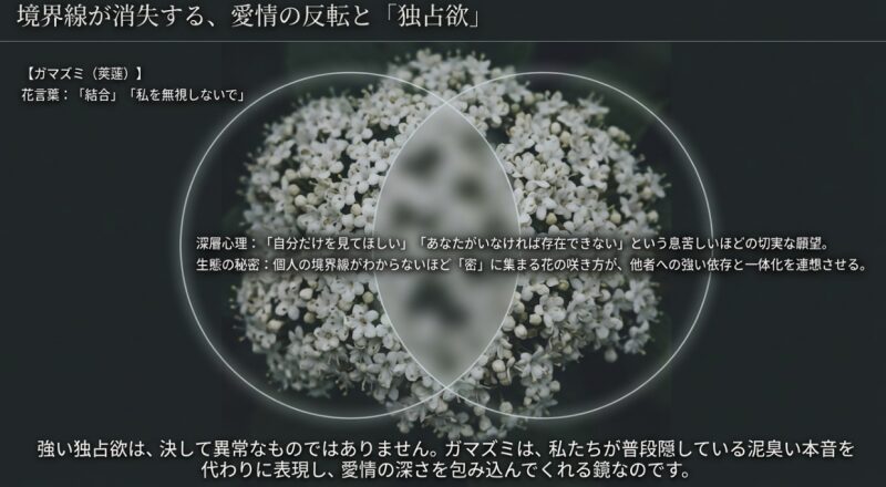 境界線が消失する愛情の反転と「独占欲」。私を無視しないでという切実な願望を表すガマズミの花言葉
