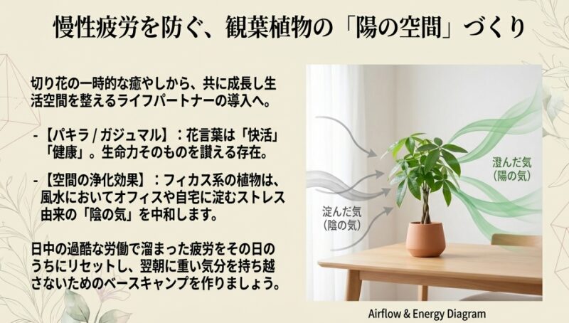 パキラなどの観葉植物が、空間に淀んだ陰の気を中和し、澄んだ陽の気をもたらす空気の流れのイメージ図