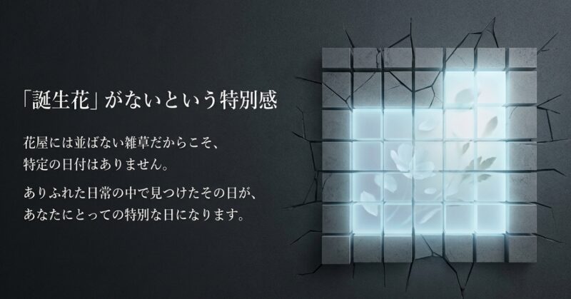 キュウリグサには特定の日付の誕生花がないからこそ、見つけた日が特別な日になるというメッセージ