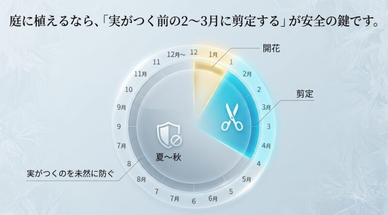 庭に植えるなら実がつく前の2月から3月に剪定するのが安全の鍵であることを示す年間カレンダー図解スライド