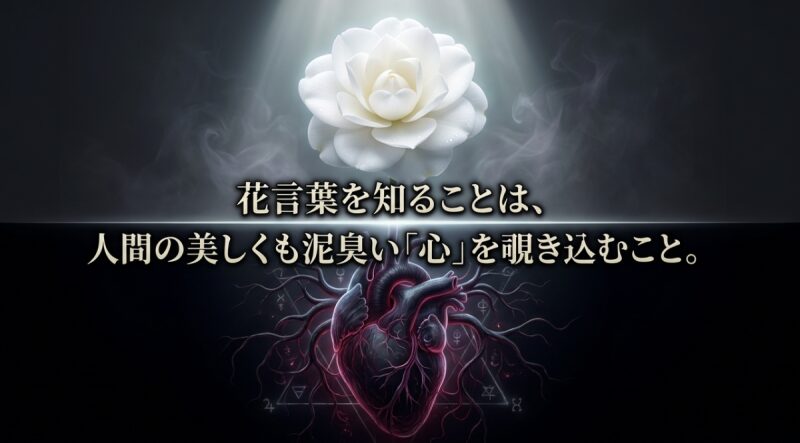 花言葉を知ることは人間の美しくも泥臭い心を覗き込むことであるというメッセージ画像