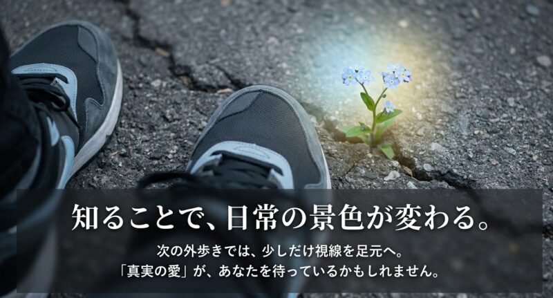 次の外歩きでは視線を足元へ。真実の愛が待っているかもしれないというメッセージ