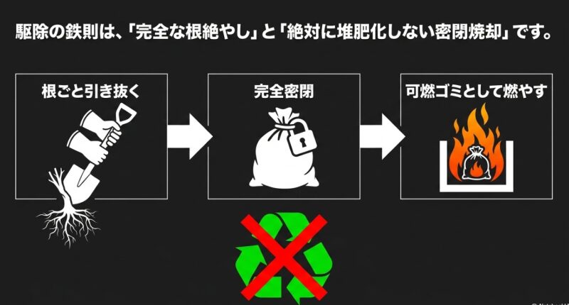ランタナ駆除の鉄則である「完全な根絶やし」と「絶対に堆肥化しない密閉焼却」を示す手順アイコン