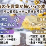 蠟梅　花言葉　怖い