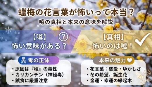 【真相】蝋梅の花言葉が怖いのは嘘！本当の意味と毒にまつわる噂