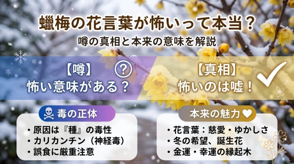 蠟梅　花言葉　怖い
