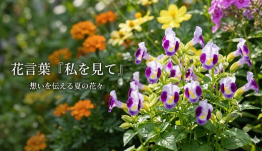 怖い意味はある？花言葉「私を見て」で恋愛アピールできる植物