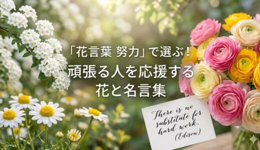 花言葉「努力」の花を贈る前に必見！絶対に外さない植物と名言集