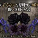 花言葉　許さない