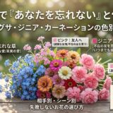 花言葉　あなたを忘れない