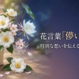 花言葉　儚い美しさ
