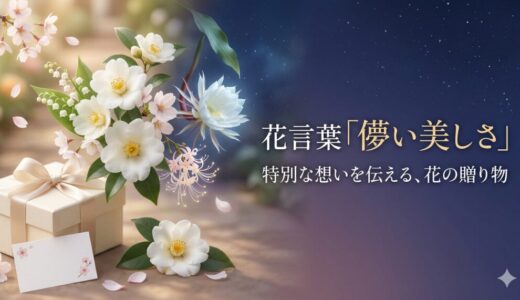 花言葉「儚い美しさ」を持つ花一覧！切ない意味と贈り方のマナー