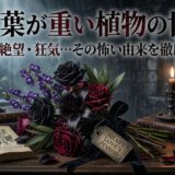 花言葉が重い植物の世界！