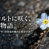 キュウリグサ　花言葉