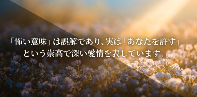 ネモフィラの花言葉「あなたを許す」の真実と怖い意味の誤解を解くスライド
