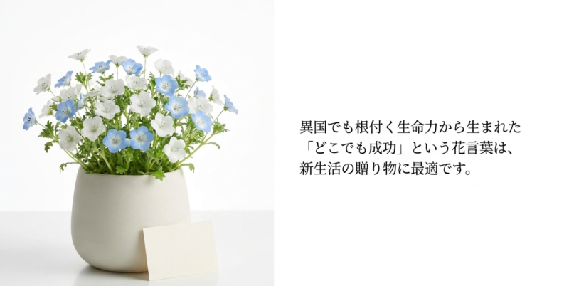 「どこでも成功」の花言葉を持つネモフィラの鉢植えとメッセージカードのギフトイメージ