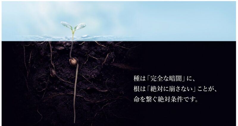 ネモフィラ栽培における嫌光性（種は暗闇に）と直根性（根は崩さない）の注意点スライド