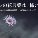 薄紫色のシオンの花と「シオンの花言葉は怖い？ネットの噂の真相と、本当のメッセージ」というタイトルテキスト