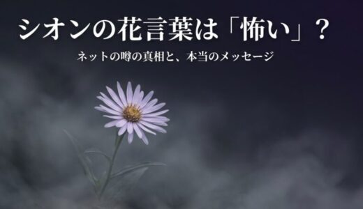 【シオンの花言葉】怖いと言われる3つの理由！実は贈り物に最適！